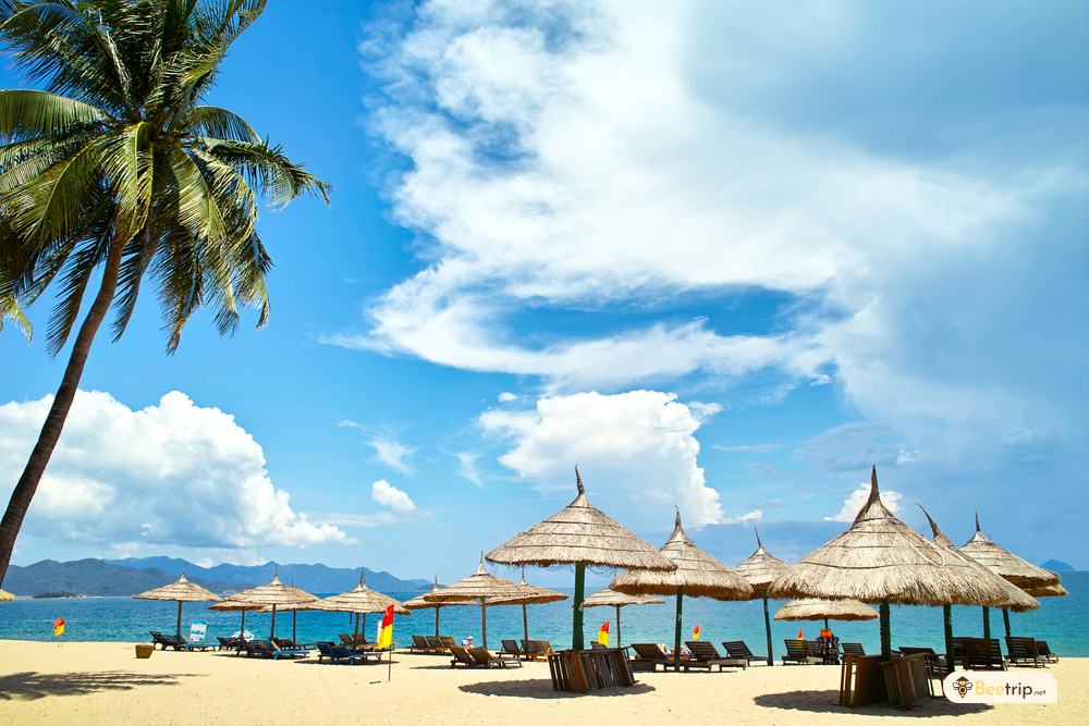 beach-chairs-and-umbrellas