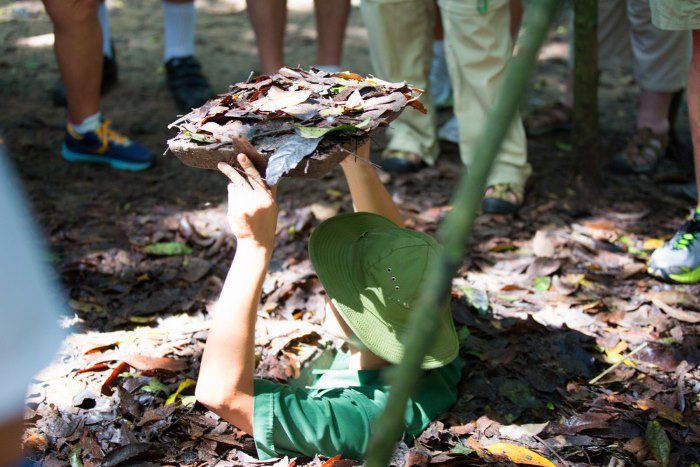 Discover Cu Chi Steel Land - A Unique Into The Ground