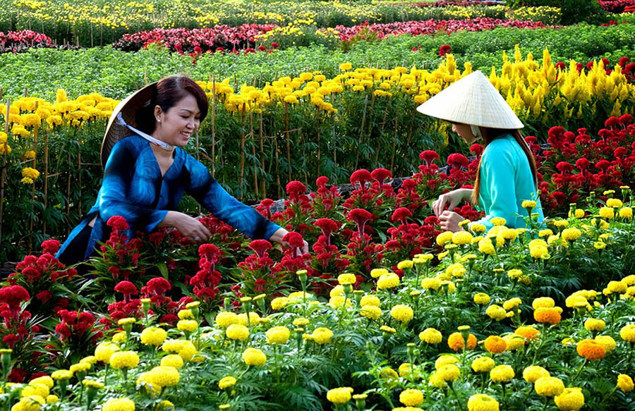 cho-lach-flower-market-ben-tre