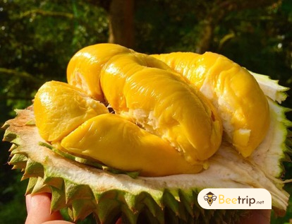 durian