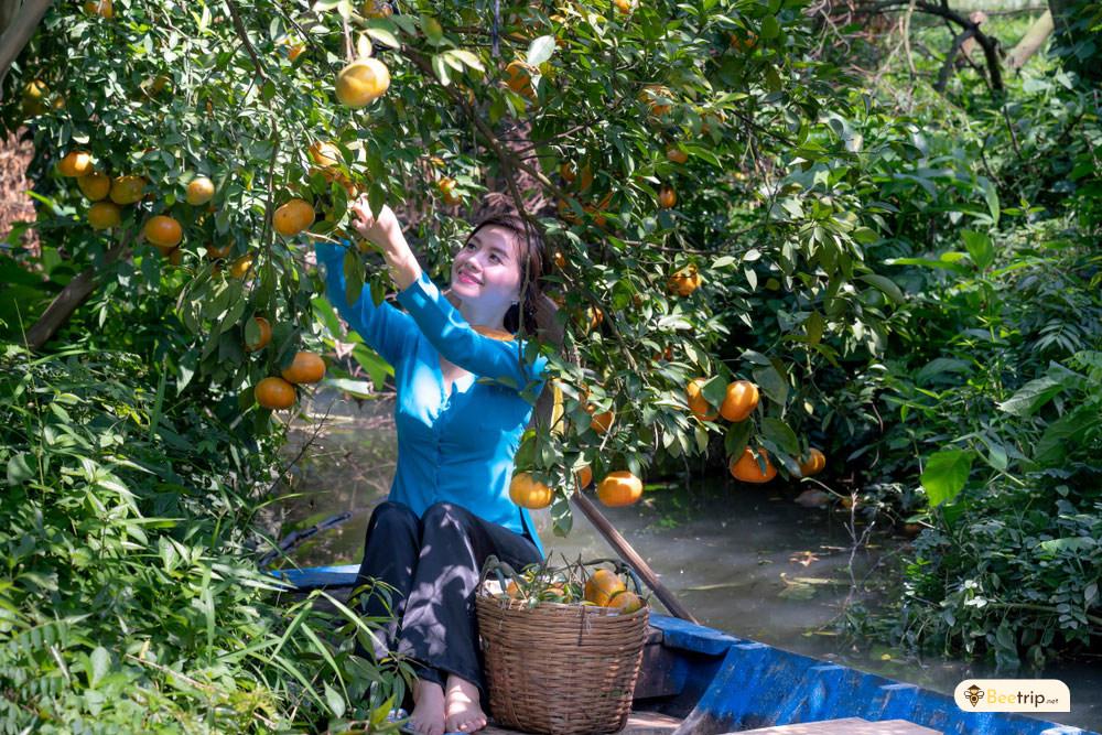 tropical-orchards-mekong-delta