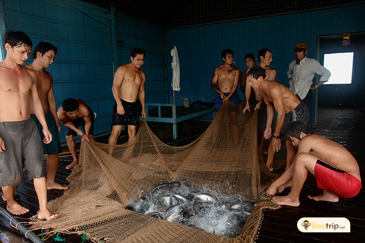 visit-fish-farm-mekong-delta