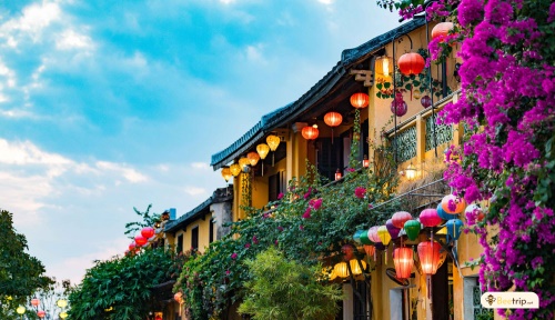 DA NANG - HOI AN TOUR